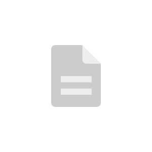 毛绒玩具提示词管理：通用、数码印刷与经典工艺